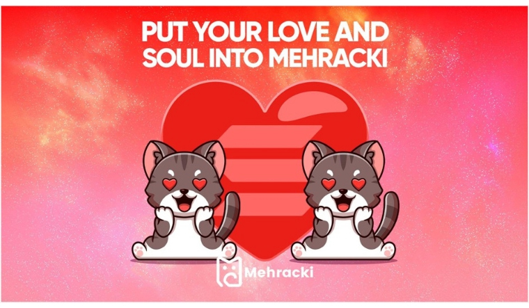 Chainlink-and-Mehracki