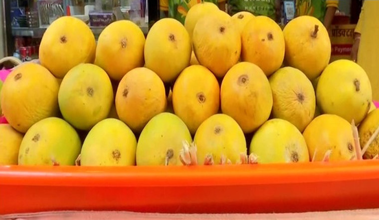 alphonso mango price