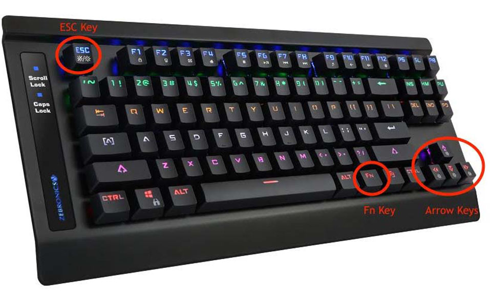 zebronicsmax-mech-keyboard