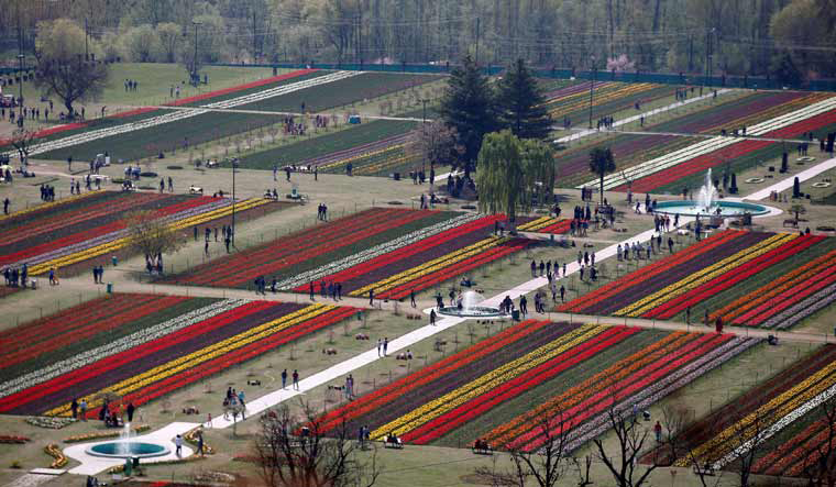 [File] Visitors walk inside Kashmir's tulip garden in Srinagar | Reuters