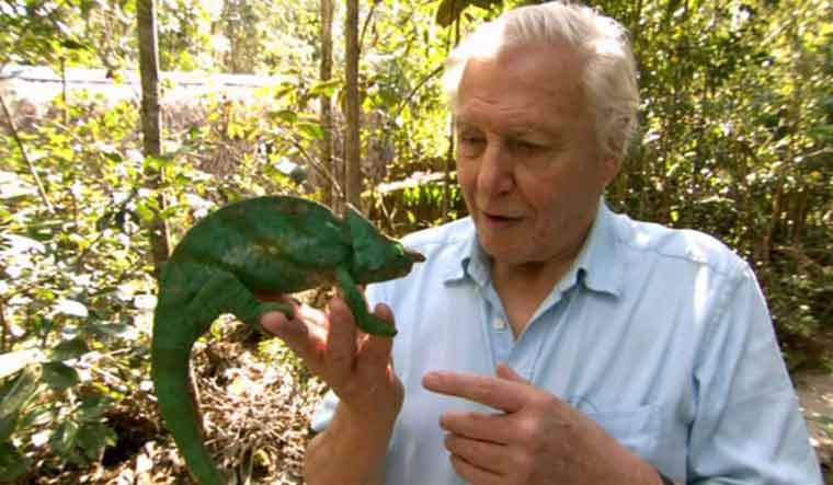 David Attenborough leaves Instagram after warning the world of climate ...