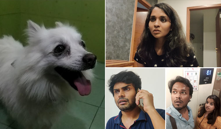 survival-stories-Rahul-Riji-Nair-lockdown-film