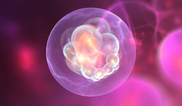 First-cell-origin-of-life-3D-illustration-shut