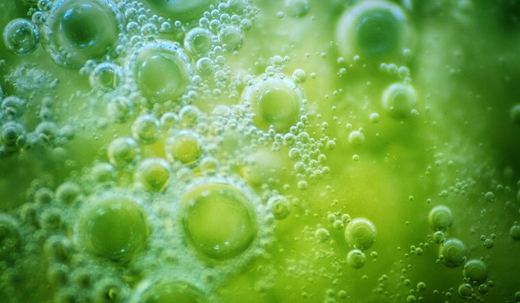 Origin-of-life-on-Earth-Abstract-life-originated-in-water-3-8-bn-years-ago-shut