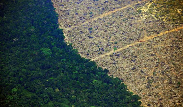 BRAZIL-AMAZON-DEFORESTATION