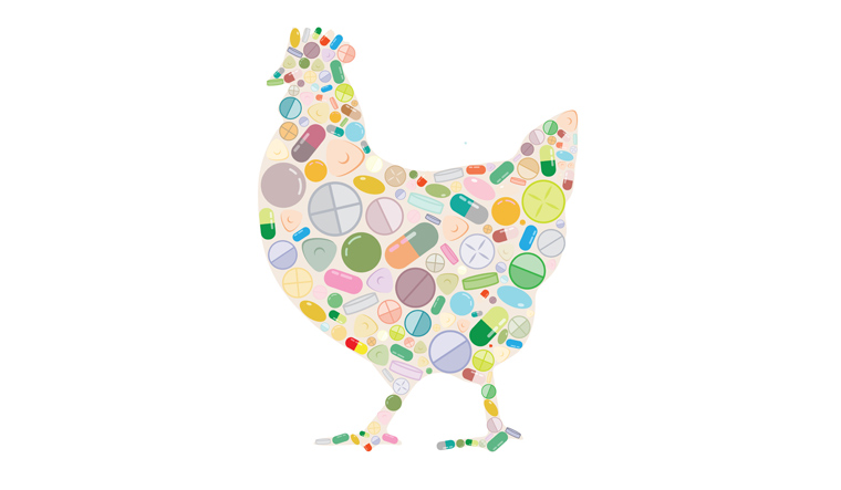 chicken-pills-antibiotics-chemicals-in-animal-and-farming-drugs-meat-shut