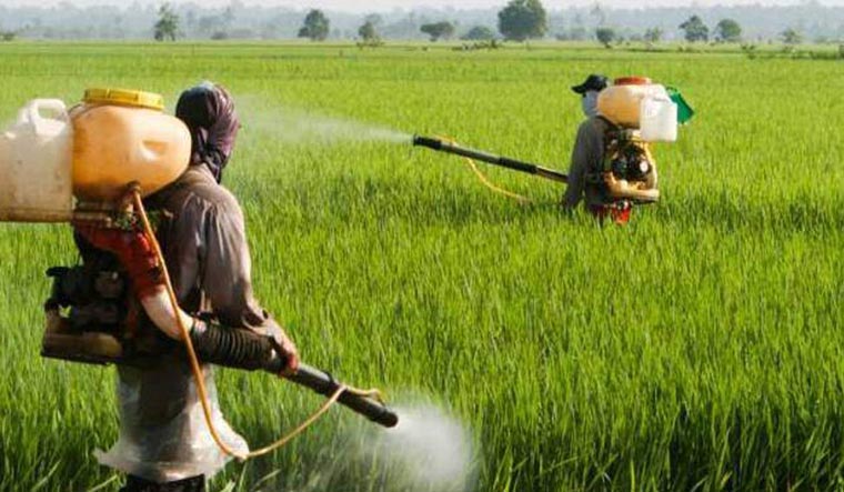 farmer-farmers-pesticides-rep-pti