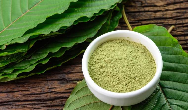 What is kratom: Nutrition facts, uses and side-effects - The Week