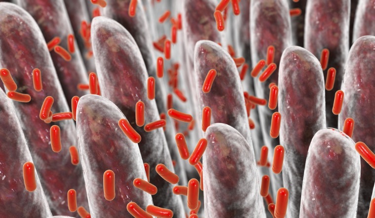 bacteria microbiome rep