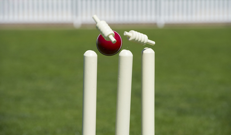 cricket-stumps-cricket-shut