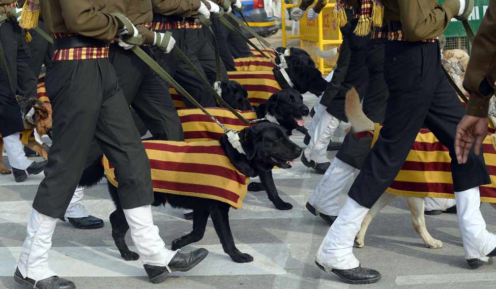 Dogs-Republic-Day-Parade