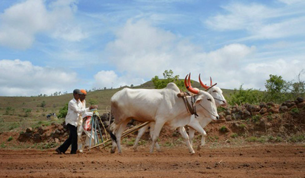 maharashtra-farmers