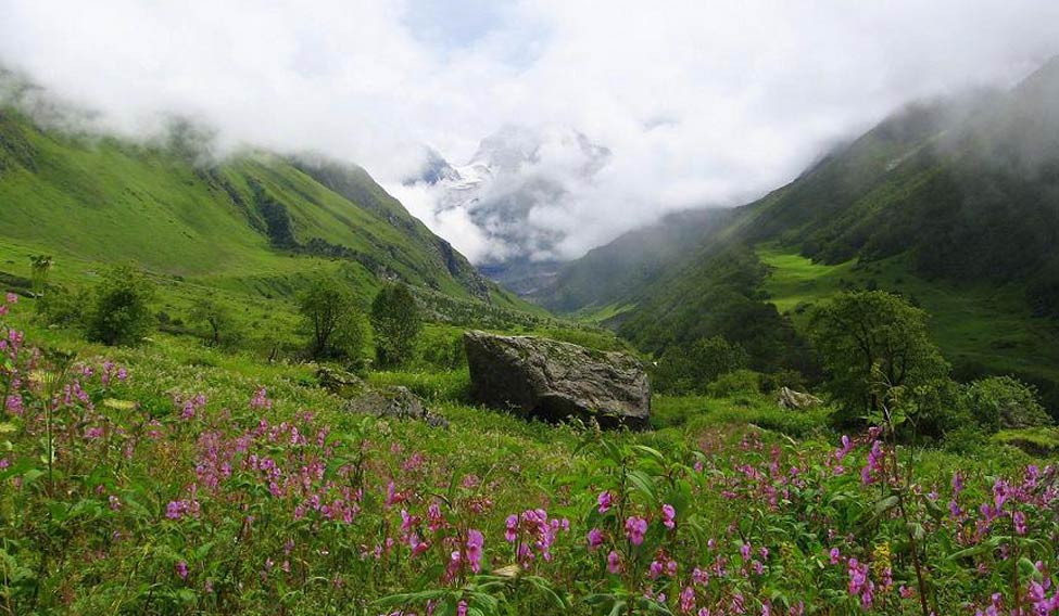 valley-of-flowers-uttarakha