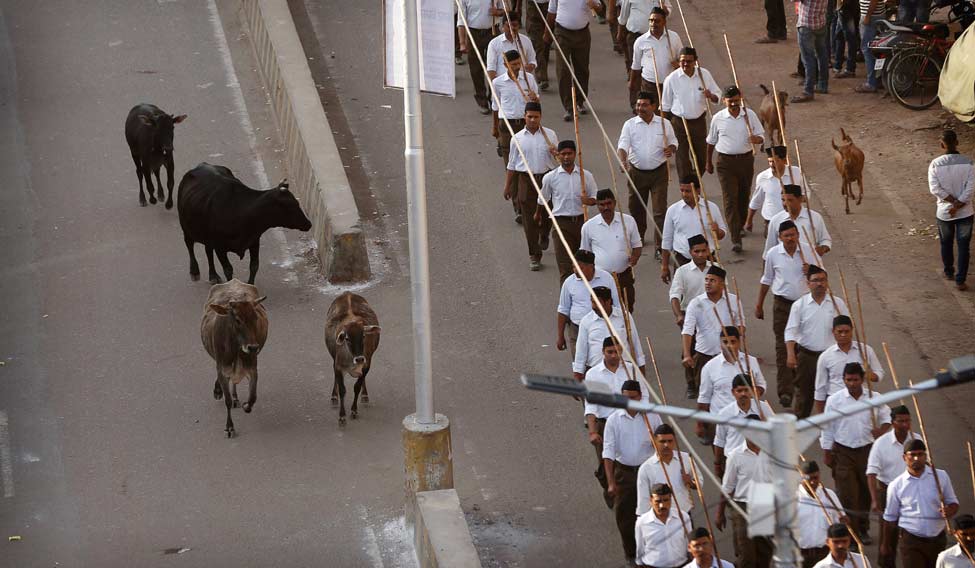 India Cattle Crackdown