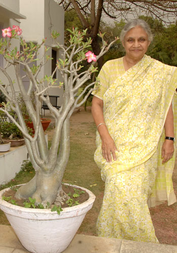 (File) Dikshit with a Bonsai plant in her garden, in 2009 | Arvind Jain
