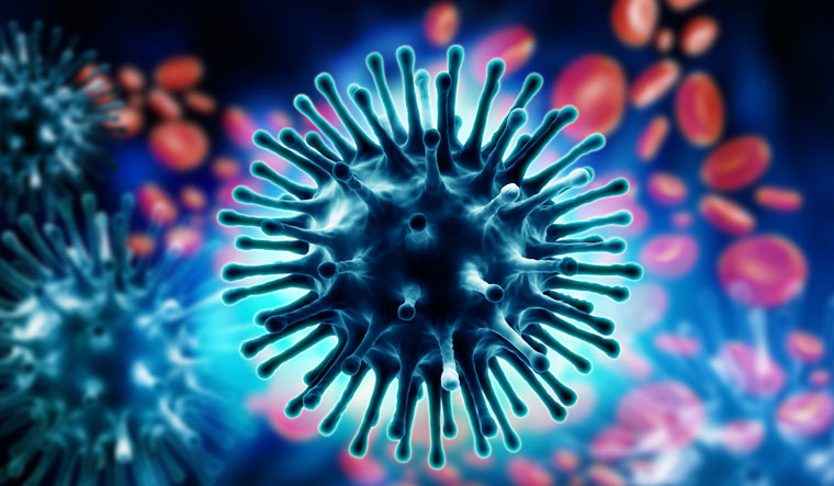 Influenza virus stock image