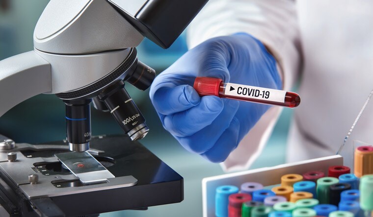 covid-19-coronavirus-test-blood-sample-virus-shut