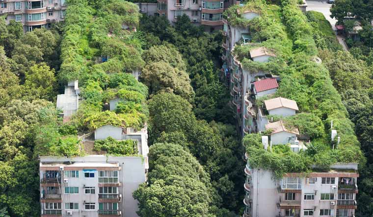 Residential-building-trees-vegetation-Chengdu-China