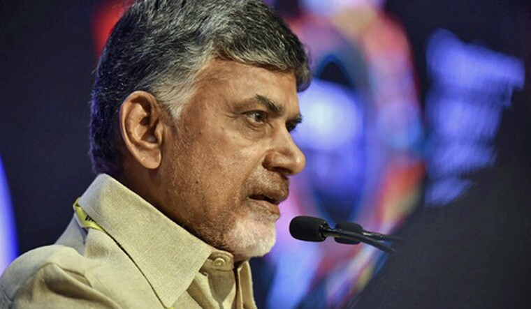 Andhra Pradesh CM Chandrababu Naidu | PTI