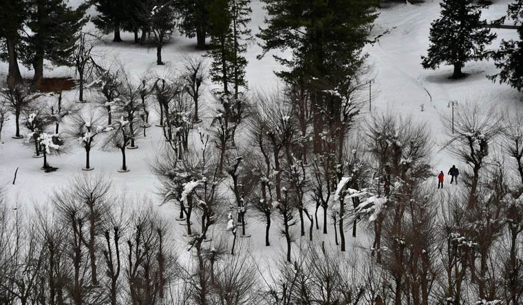 Kashmir valley winter