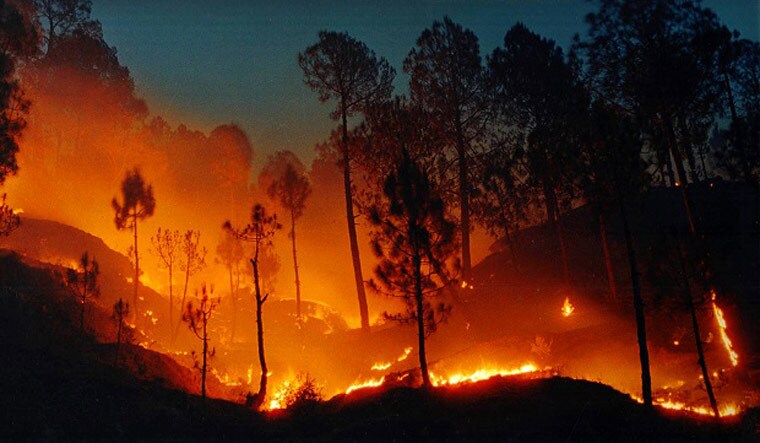 Representational Image | Reuters