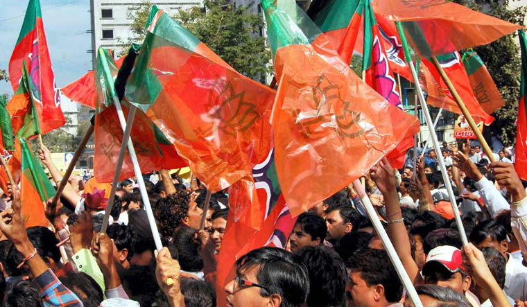 BJP flags