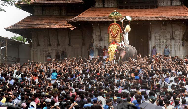 Elephant Thechikottukavu Ramachandran opens the door of the southern Gopuram of the Vadakkumnathan temple to formally begin the Thrissur Pooram | PTI
