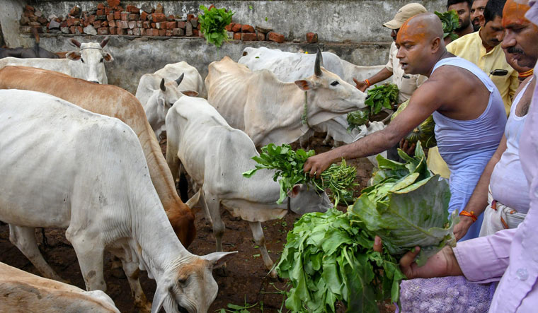 Farmers protest