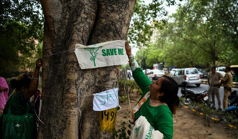 A women tie a banner on a tree during the 'Save The Tree Campaign' in New Delhi | AFP