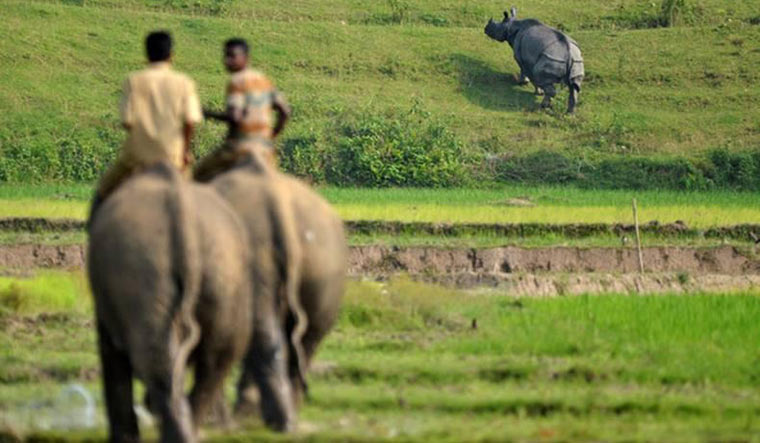 Humans Ruling Animals Animals have rights of a living person, rules Uttarakhand HC - The Week