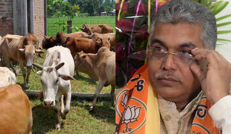 cow dilip ghosh collage salil