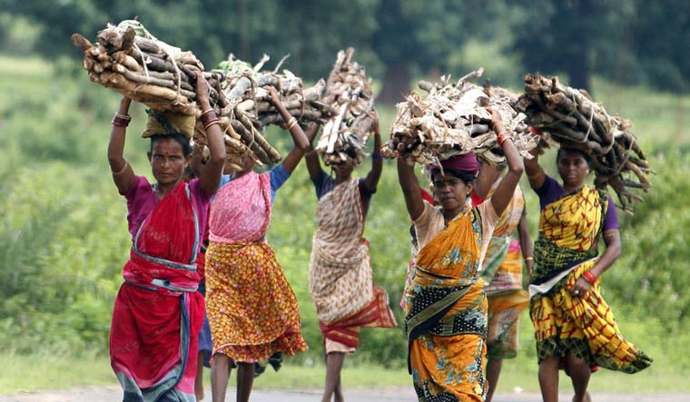 Supreme Court has ordered the eviction of over one million forest dwellers, after it rejected their ownership claims on the land | Reuters