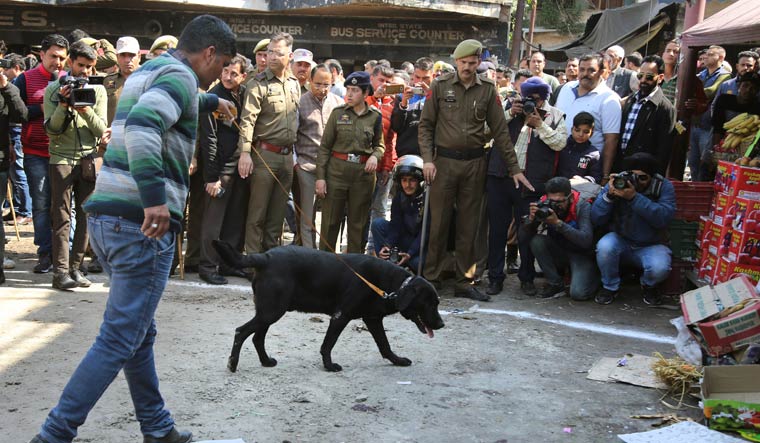 A sniffer dog and policemen inspect the site of a grenade attack in Jammu | AP