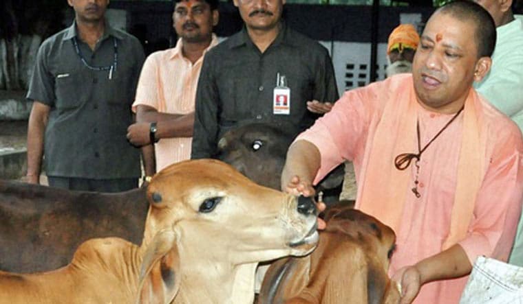File: UP CM Yogi Adityanath | PTI