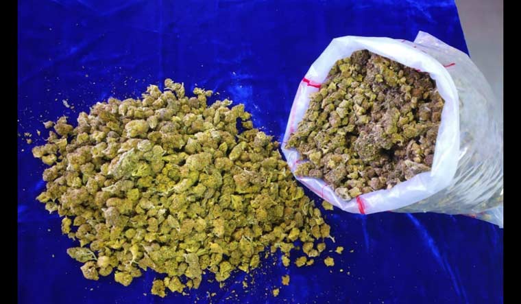 cannabis-ganja-weed-THC-Chennai-customs-US