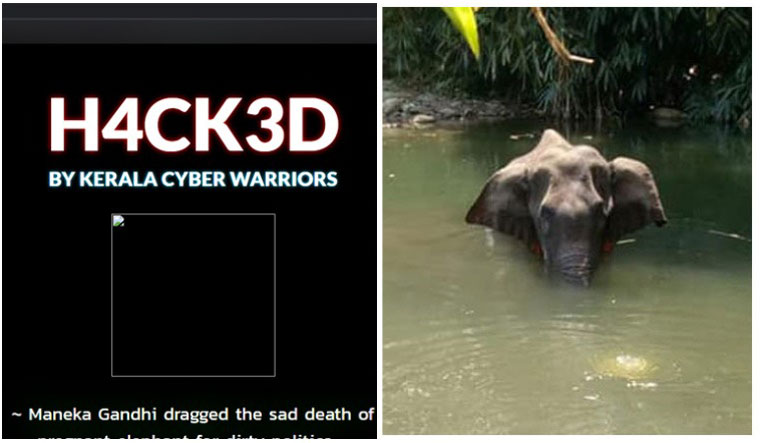 maneka-website-kerala-elephant-death