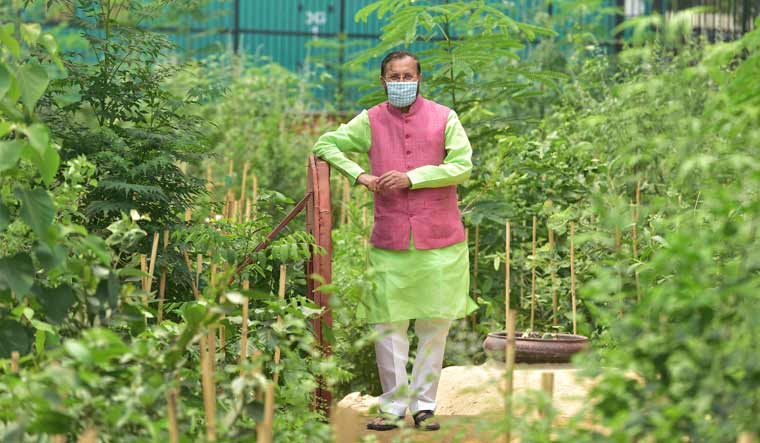 Union Environment Minister Prakash Javadekar poses for photographs while taking a round after unveiling an 'Urban Forest', in New Delhi | PTI