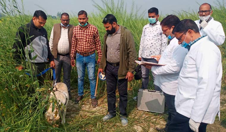 Officials investigate at the site where bodies of two minor Dalit girls were found in a field and another in critical condition on Wednesday evening, near Baburaha village in Unnao district | PTI