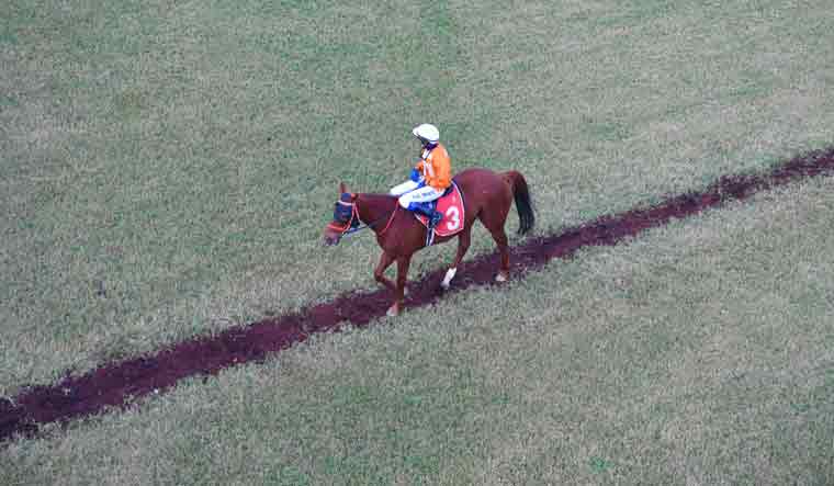 horse-racing-Royal-Calcutta-Turf-Club-9-salil
