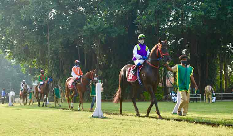horse-racing-Royal-Calcutta-Turf-Club-equestrian-6-salil