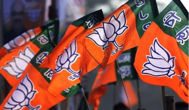 BJP party flags