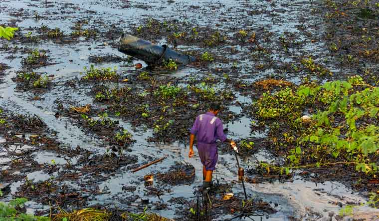 A worker cleans after an oil spill off the Ennore Creek area in the aftermath of Cyclone Michaung | PTI