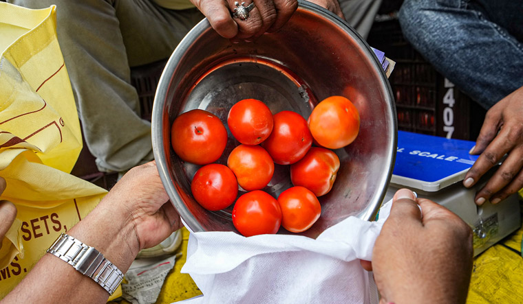 Tomatoes price reduced