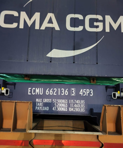 Heavy cargo from CMA CGM Attila was seized at Nhava Sheva port | Sourced