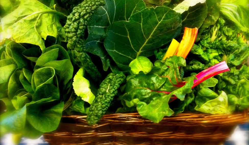 green-leafy-vegetables-reut