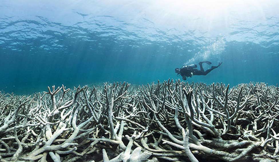 AUSTRALIA-ENVIROMENT-CONSERVATION-BLEACHING-REEF-CLIMATE