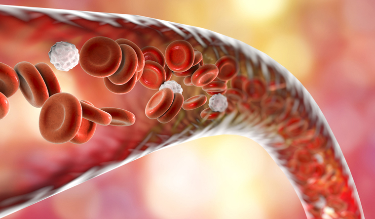 blood-vessel-with-flowing-blood-cells-3D-illus-shut