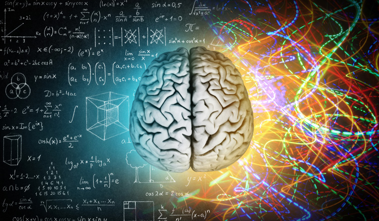 human-brain-thinking-knowledge-intelligence-evolution-development-shut