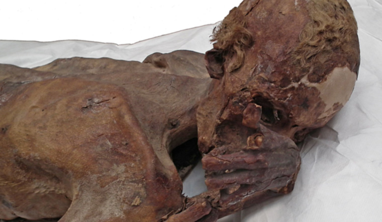 male-mummy-british-museum-viareuters