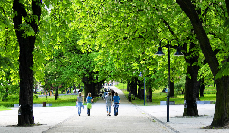 park-greenery-green-space-people-open-air-trees-